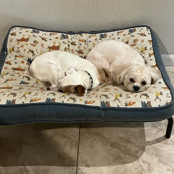 Lindsey - Picture 1 of 1